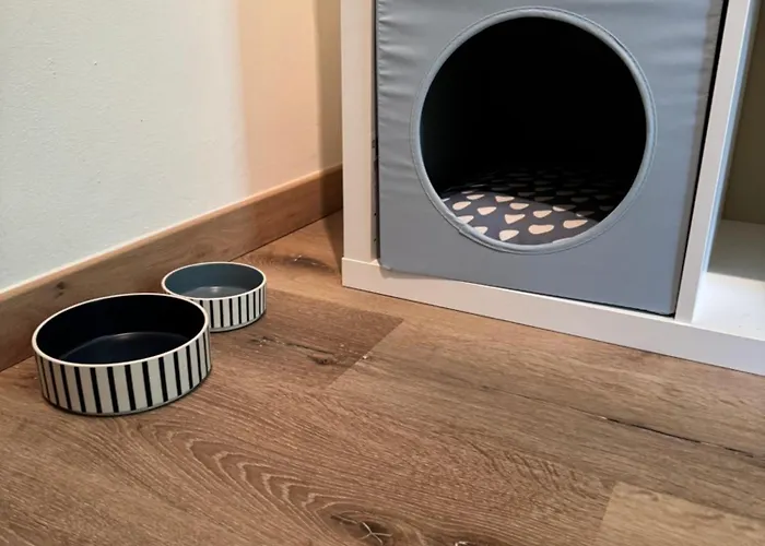 公寓 Belvedere Maremonti Belvedere Ostrense